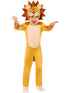 Lion Child Costume
