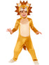 Lion Child Costume