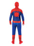 Spider-Man Adults Costume