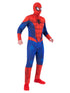 Spider-Man Adults Costume