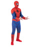Spider-Man Adults Costume