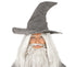 Wizard Grey Hat