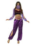 Arabian Princess Costume, Purple