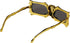 Golden Skeleton Goggles