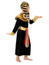 Black Pharaoh Boys Costume