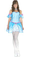 Rebel Toons Cinderella Costume