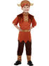 Boys Viking Costume