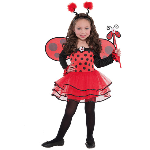 Ballerina Ladybug Costume