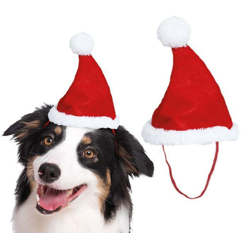 Pet Santa Hat