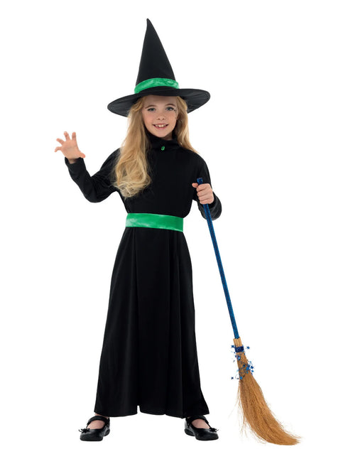 Wicked Witch Costume