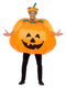 Pumpkin Inflatable Costume