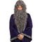 Grey Wizard Wig And Beard Set