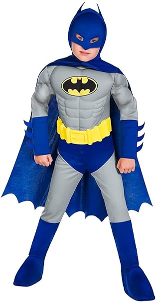 Brave And Bold Batman Costume