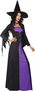 Classic Witch Ladies Fancy Dress Costume