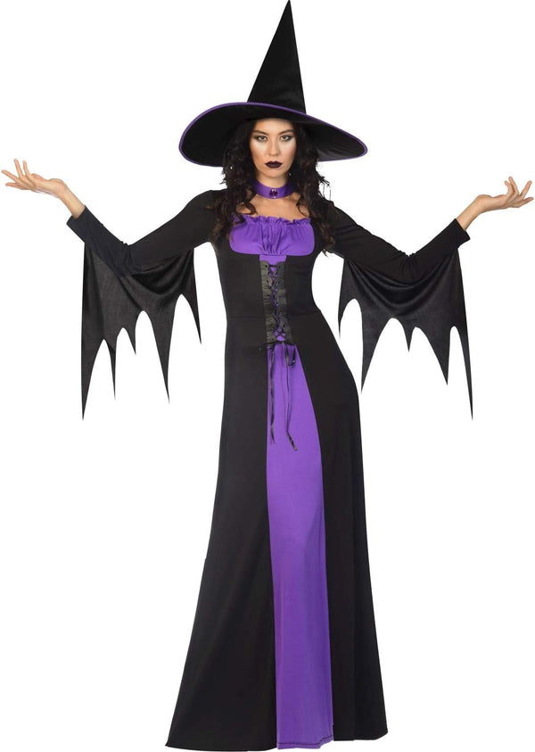 Classic Witch Ladies Fancy Dress Costume