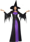 Classic Witch Ladies Fancy Dress Costume
