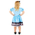 Alice Sustainable Costume