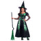 Spider Witch Costume