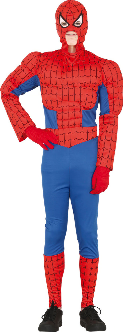Spider Hero