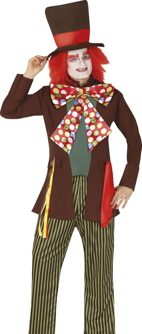 Hatter Adults Costume