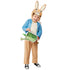 Peter Rabbit Classic Costume