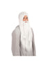 Wizard Wig + Beard Long White (B25)