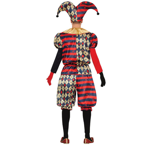 Diamond Harlequin Costume - Adults