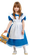 Blue Little Girl Costume