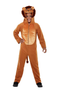 Kids Lion Costume