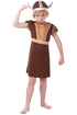 Viking Boys Costume
