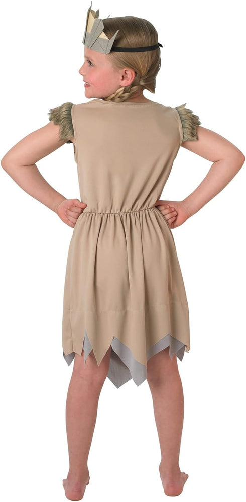 Viking Girl Costume