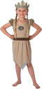 Viking Girl Costume