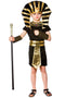 Egyptian Pharaoh Boys Costume