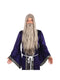 Wizard Wig + Beard Long Grey
