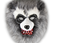 Creepy Animal Fur Mask