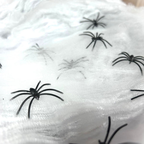 White Spider Webs & Spiders