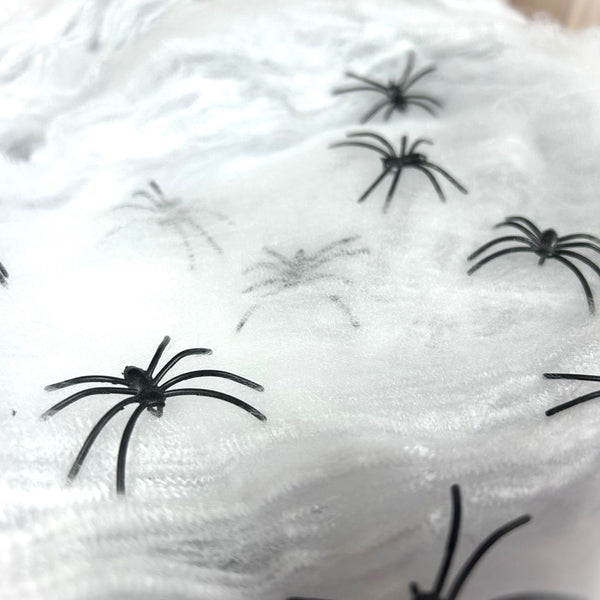 White Spider Webs & Spiders