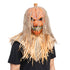 Pumpkin Scarecrow Halloween Mask