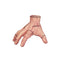 Scary Latex Prop Hand