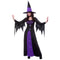 Spellbound Witch Adult Costume