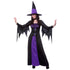 Spellbound Witch Adult Costume