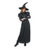 Wicked Witch Adult Costume – additional product view 2