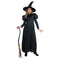 Wicked Witch Adult Costume