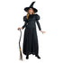 Wicked Witch Adult Costume