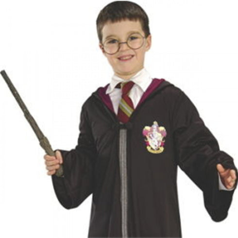 Harry Potter Wand and Glasses