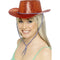 Cowboy Glitter Hat