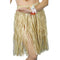 Hawaiian Hula Skirt