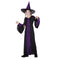Bewitched Costume, Purple & Black Dress