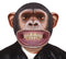 Giant Chimpanzee EVA Mask