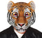 Giant Tiger EVA Mask
